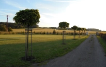 Fotogalerie penzion - 2